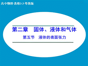 高中物理 2.5 液體的表面張力課件 粵教版選修3-3.ppt