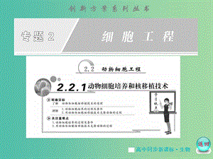 高中生物 專題2 -2.2 - 2.2.1動物細胞培養(yǎng)和核移植技術(shù)課件 蘇教版選修3.ppt