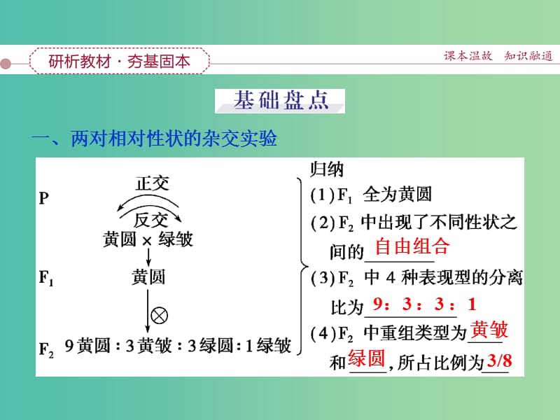 高考生物一轮复习 第五单元 第15讲 孟德尔的豌豆杂交实验（二）课件.ppt_第3页