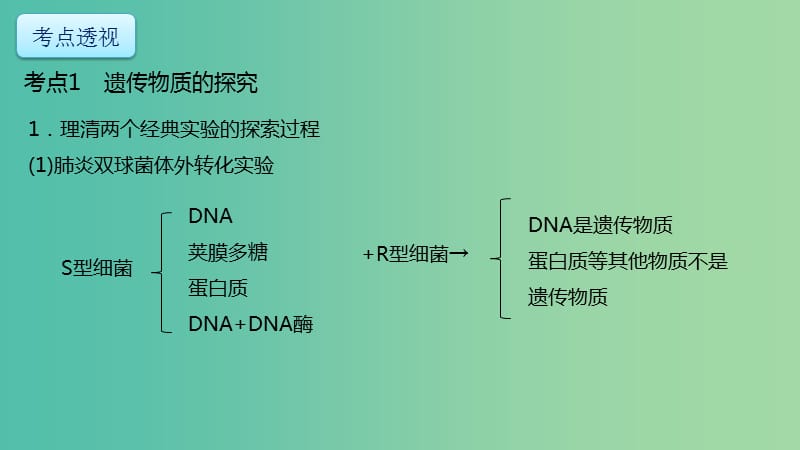 高考生物二轮复习专题4遗传变异和进化第1讲遗传的分子基次件.ppt_第2页