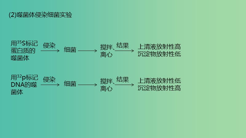 高考生物二轮复习专题4遗传变异和进化第1讲遗传的分子基次件.ppt_第3页