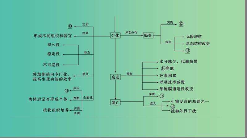 高考生物一轮复习第4单元细胞的生命历程单元网络构建课件.ppt_第3页