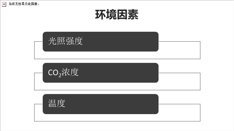 探究不同因素对光合作用的影响ppt课件_第2页