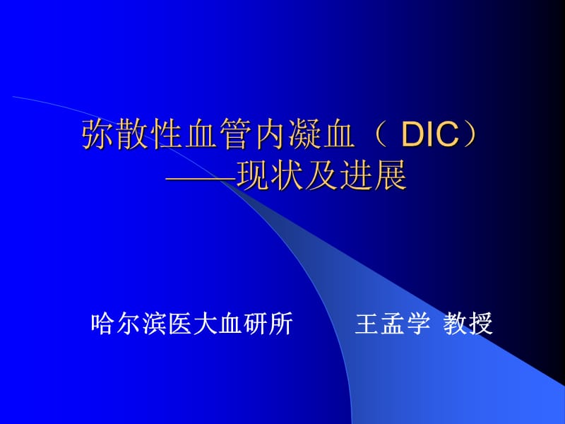 DIC现状与进展(已看两遍,很好).ppt_第1页