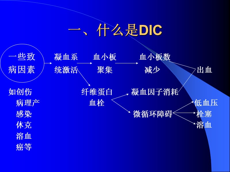 DIC现状与进展(已看两遍,很好).ppt_第2页