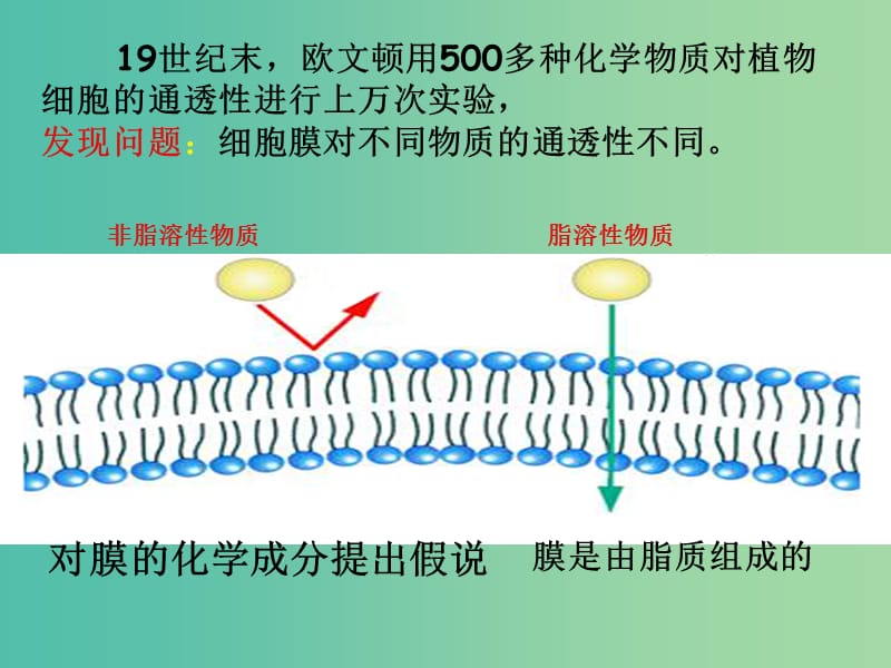 高中生物《4.2 生物膜的流动镶嵌模型》课件 新人教版必修1.ppt_第3页