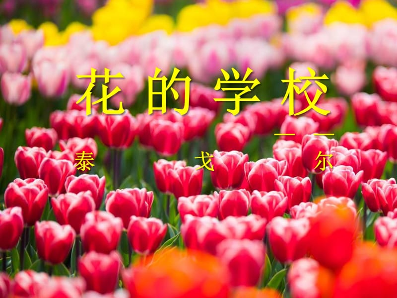 《花的学校》ppt课件.ppt_第1页