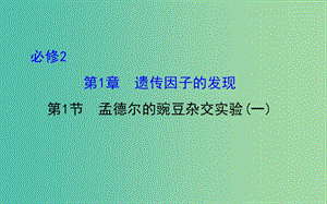 高考生物總復習 第一章 遺傳因子的發(fā)現(xiàn) 第1節(jié) 孟德爾的豌豆雜交實驗(一)課件 新人教版必修2.ppt