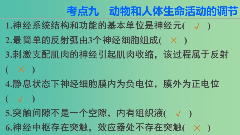 高三生物第二轮复习 第二篇 考点九 动物和人体生命活动的调节课件 新人教版.ppt_第2页