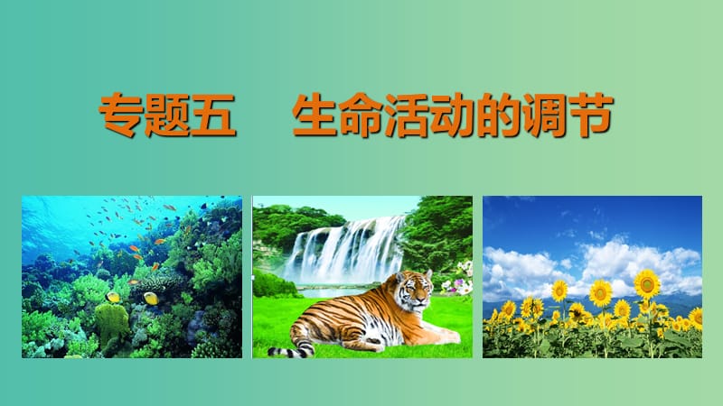 高三生物第二轮复习 专题五 第3讲 植物的激素调节课件 新人教版.ppt_第1页