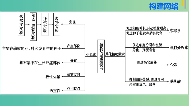 高三生物第二轮复习 专题五 第3讲 植物的激素调节课件 新人教版.ppt_第3页