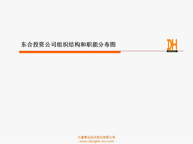 东合投资公司组织结构和职能分布图.ppt_第1页