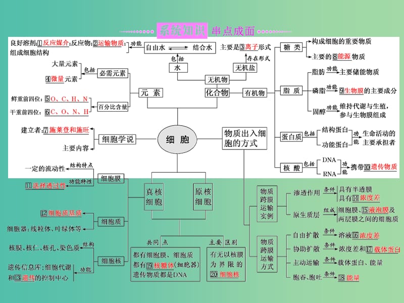 高考生物二轮复习专题一细胞串讲一细胞的物质基础结构与功能物质运输第1课时基础自查课件.ppt_第2页