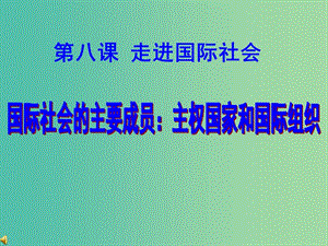 高中政治 8.1國際社會的主要成員 主權國家和國際組織課件7 新人教版必修2.ppt