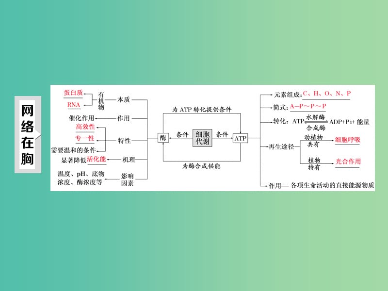 高三生物二轮复习 第一部分 专题一 细胞系统 第3讲 第1课时 酶和ATP（重点保分课）课件.ppt_第3页