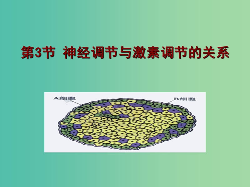 高中生物 第二章 神经调节与体液调节的关系课件 新人教版必修3.ppt_第2页