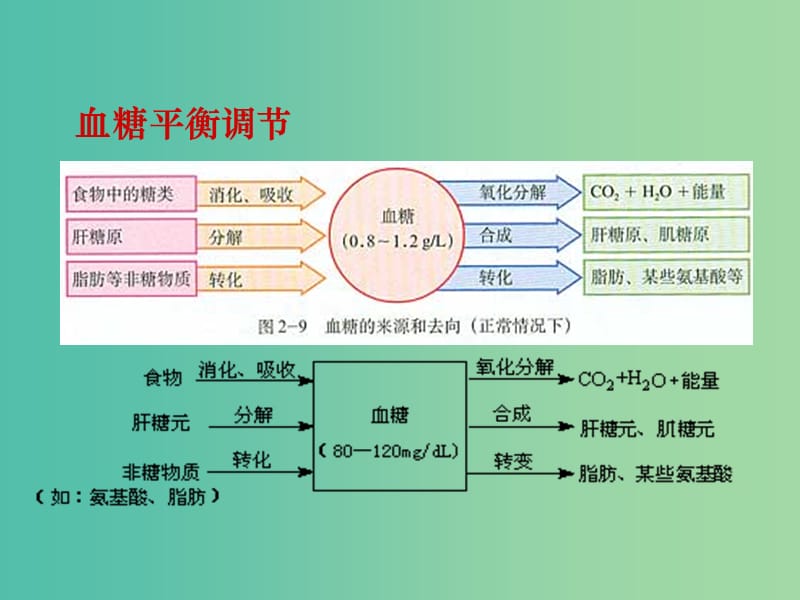 高中生物 第二章 神经调节与体液调节的关系课件 新人教版必修3.ppt_第3页