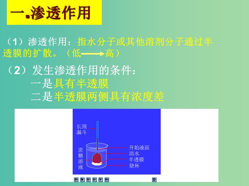 高中生物 4.1 物质跨膜运输的实例课件 新人教版必修1.ppt_第2页