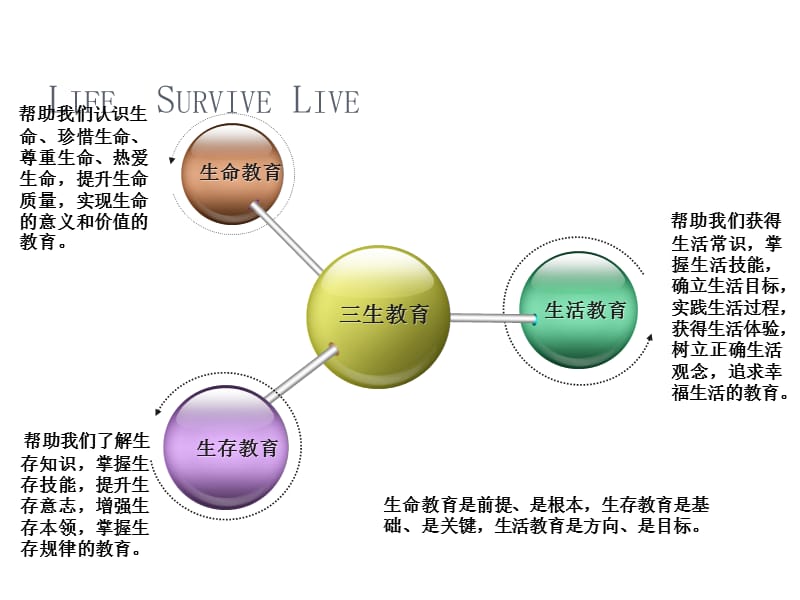 生命价值观ppt课件_第3页