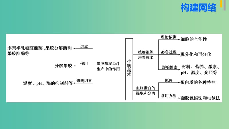 高三生物第二轮复习 专题八 第2讲 酶的应用和生物技术在其他方面的应用课件 新人教版.ppt_第3页