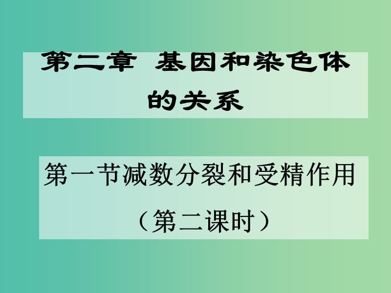 高中生物 2.1减数分裂（2）课件 新人教版必修2.ppt_第1页