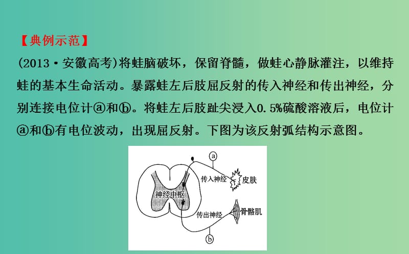 高考生物总复习 实验答题模板系列 4设计实验方案 生理类课件 新人教版.ppt_第3页