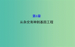 高考生物總復習 第六章 從雜交育種到基因工程課件 新人教版必修2.ppt