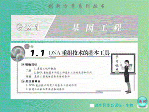 高中生物 專題1 1.1DNA重組技術(shù)的基本工具課件 蘇教版選修3.ppt