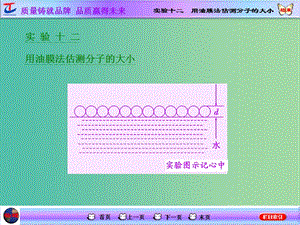 高考物理一輪復(fù)習(xí) 第十一章 熱學(xué) 實(shí)驗(yàn)十二 用油膜法估測(cè)分子的大小課件 新人教版選修3-3.ppt