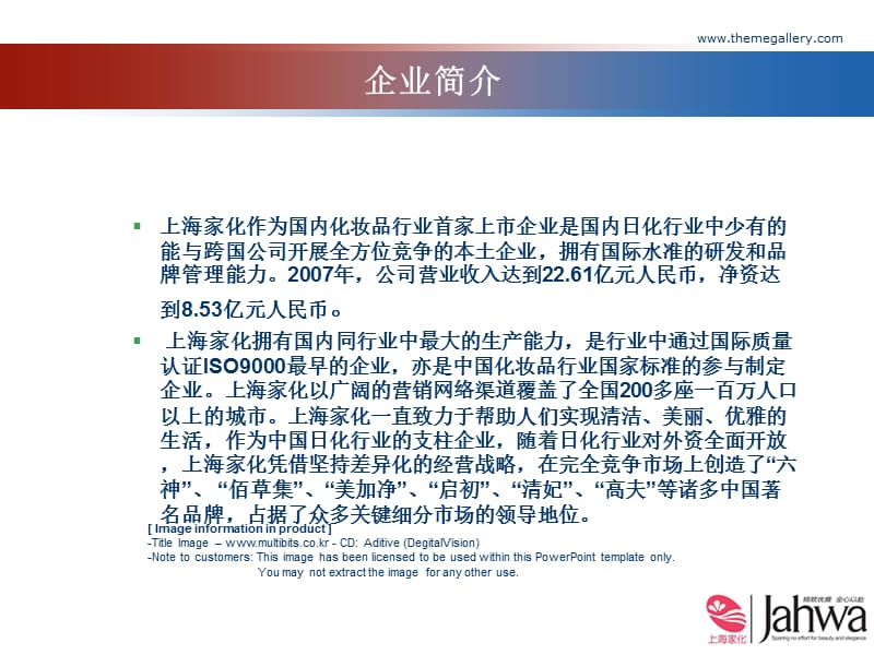 上海家化企业战略分析.ppt_第3页