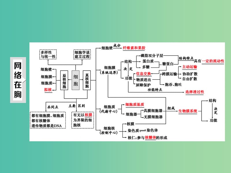 高三生物二轮复习 第一部分 专题一 细胞系统 第2讲 细胞系统的结构-细胞的亚显微结构（重点保分课）课件.ppt_第3页