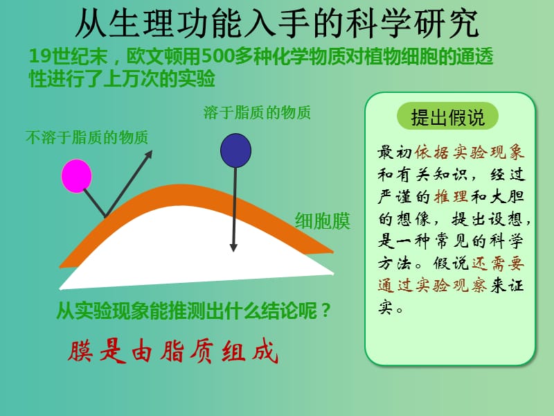 高中生物 第四章 第二节 生物膜的流动镶嵌模型课件 新人教版必修1.ppt_第2页