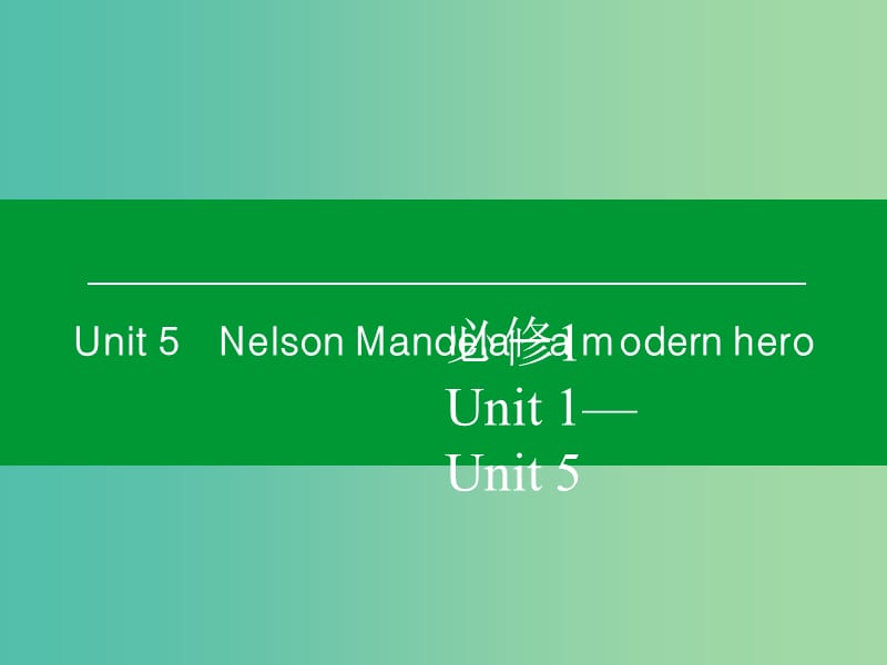 高考英语一轮复习 Unit5 Nelson Mandela a modern hero课件 新人教版必修1.ppt_第1页