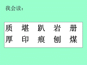 《最大的書》課件.ppt