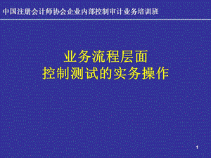 業(yè)務(wù)流程層面控制測(cè)試的實(shí)務(wù)操作ppt課件