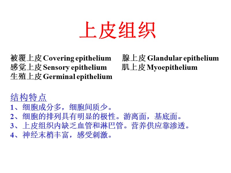 南京农业大学-动物组织胚胎学-上皮组织.ppt_第1页