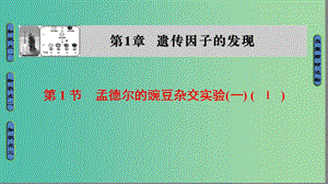 高中生物 第1章 遺傳因子的發(fā)現 第1節(jié) 孟德爾的豌豆雜交實驗（一）（Ⅰ）課件 新人教版必修2.ppt