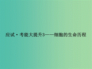 高考生物一輪復習 考能大提升3 細胞的生命歷程課件.ppt