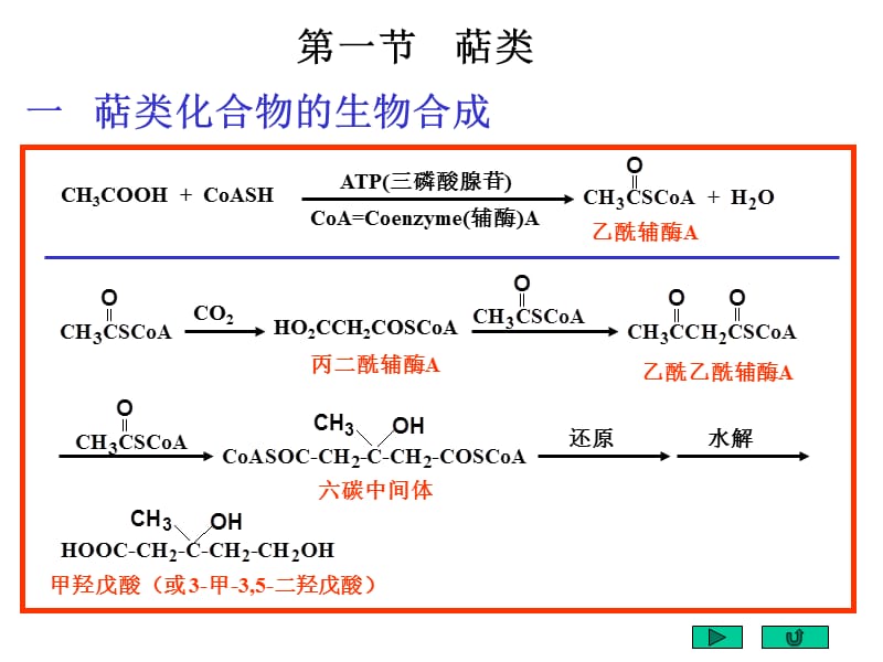 北京大学有机化学课件.ppt_第3页