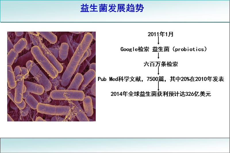 益生菌与肠道健康.ppt_第3页