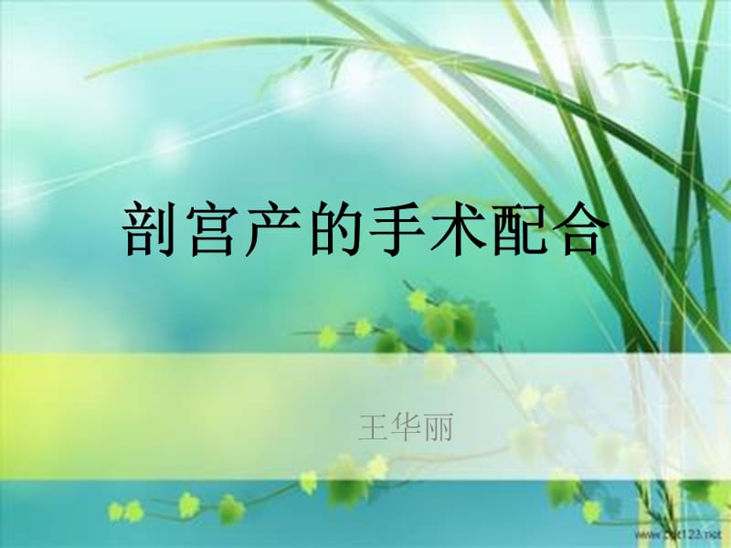 剖宫产的手术配合.ppt_第1页