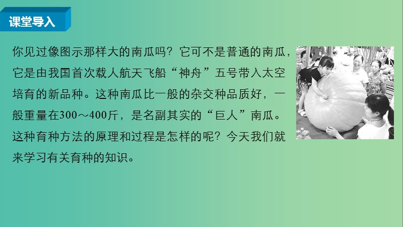 高中生物 第四章 第二节 生物变异在生产上的应用课件 浙科版必修2.ppt_第2页