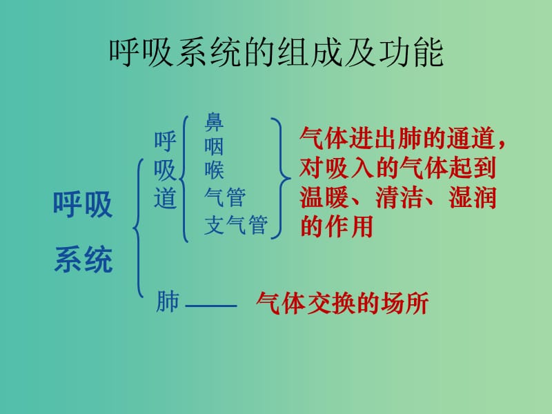 七年级生物下册 第三章 第一节 呼吸-总结呼吸系统的组成和功能课件 冀教版.ppt_第1页