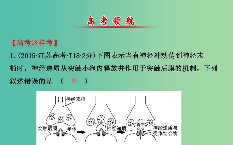 高考生物二轮复习 专题11 动物和人体生命活动的调节课件.ppt_第2页