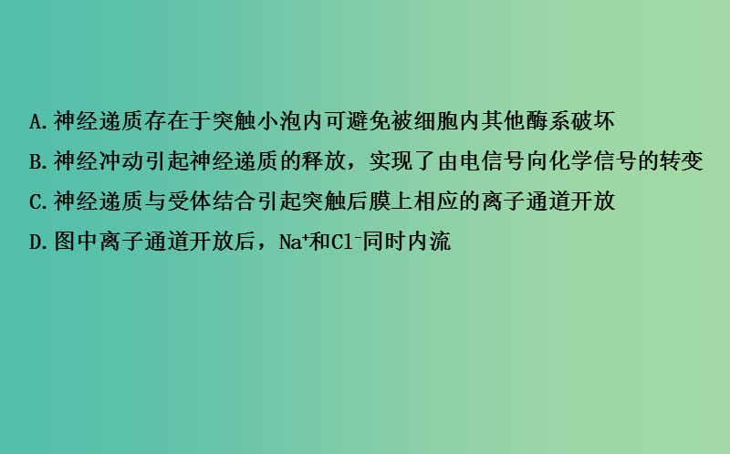 高考生物二轮复习 专题11 动物和人体生命活动的调节课件.ppt_第3页