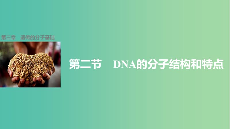 高中生物 第三章 第二节 DNA的分子结构和特点课件 浙科版必修2.ppt_第1页