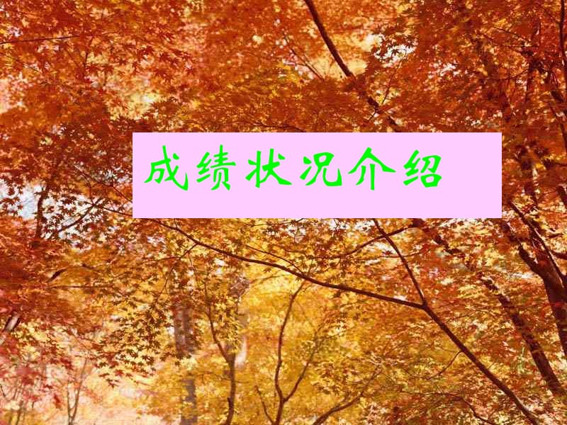 月考成绩分析会课件-主题班会.ppt_第3页