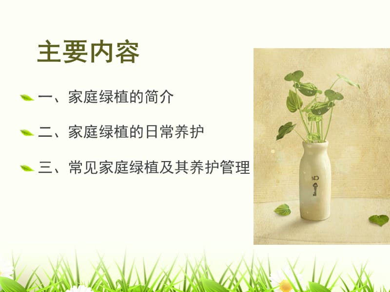 家庭绿植的日常养护.ppt_第2页