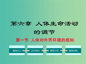 七年級生物下冊 第六章 第一節(jié) 人體對外界環(huán)境的感知課件 （新版）新人教版.ppt