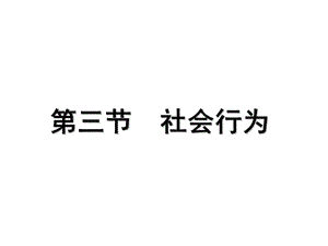 八年級生物上冊《社會行為》課件新人教版.ppt